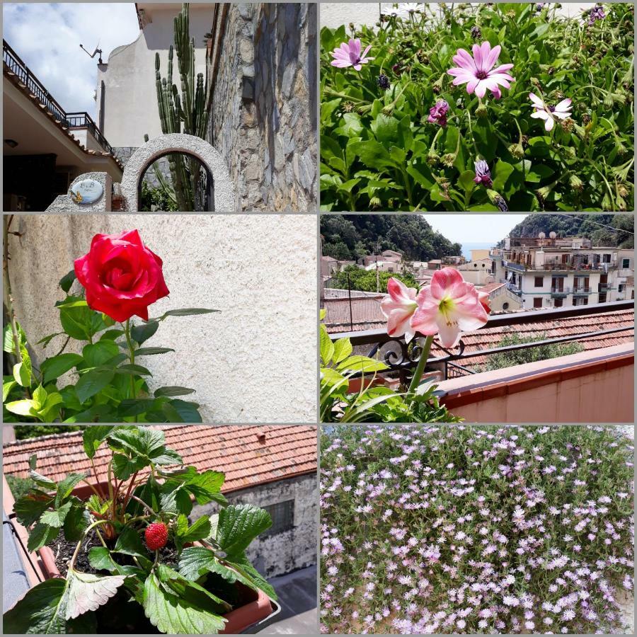 B&B Cetara Amalfi Coast Екстериор снимка
